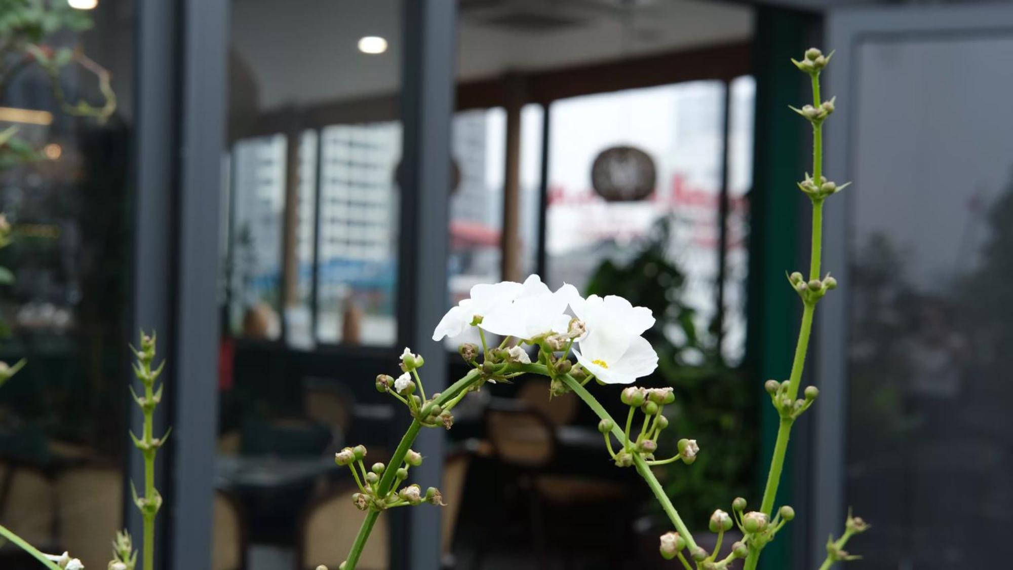 The Bloom Classic - Hotel And Bistro Ханой Экстерьер фото
