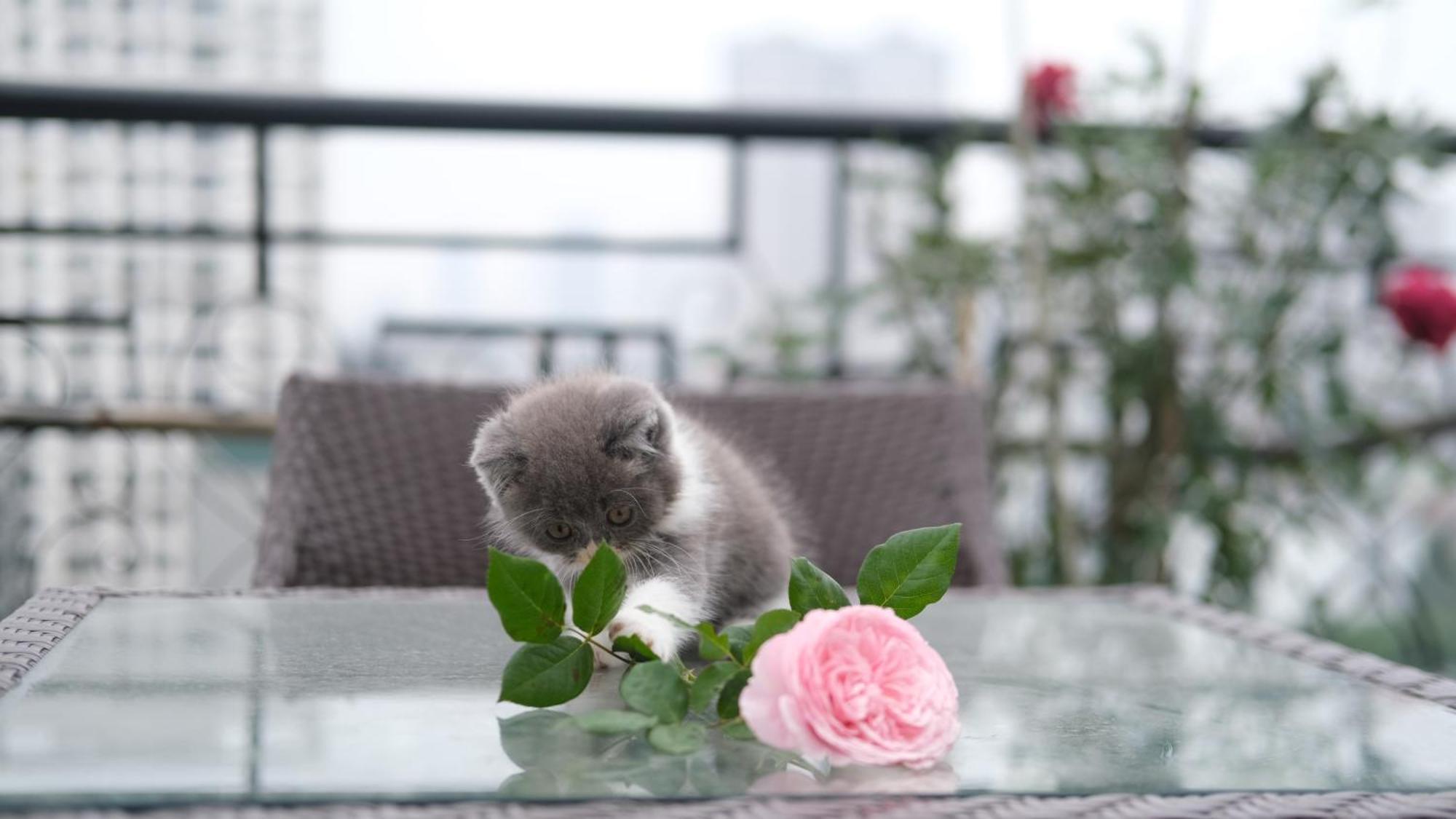 The Bloom Classic - Hotel And Bistro Ханой Экстерьер фото